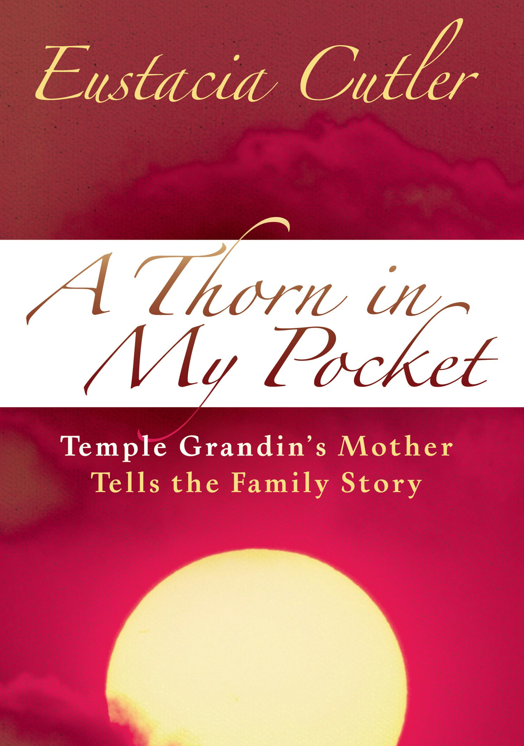 Book cover image for A Thorn in My Pocket ISBN: 9781941765401